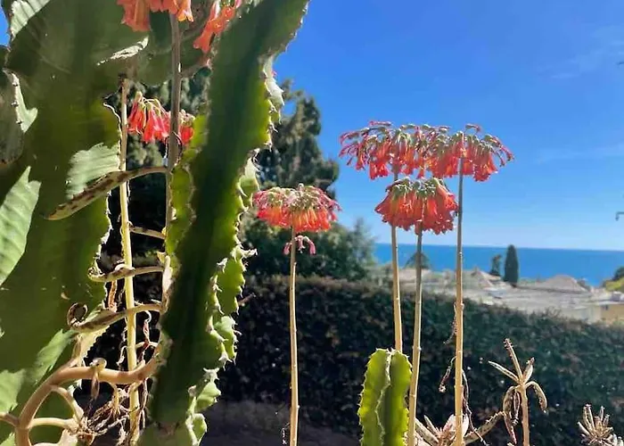 Nervi Residenziale A Due Passi Dal Mare