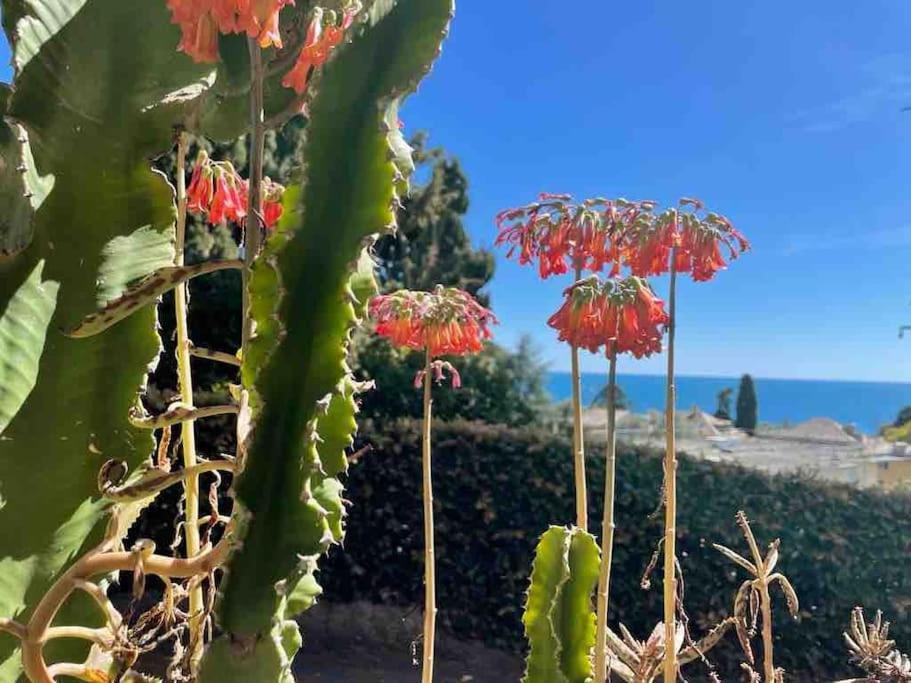 Appartement Nervi Residenziale A Due Passi Dal Mare *